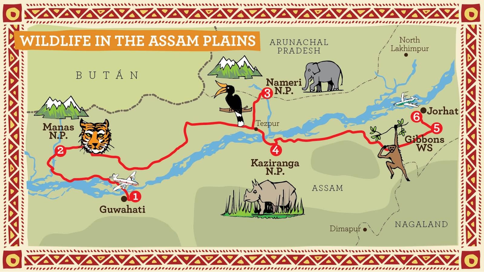 Illustrated Route Map for Assam Wildlife Tour
