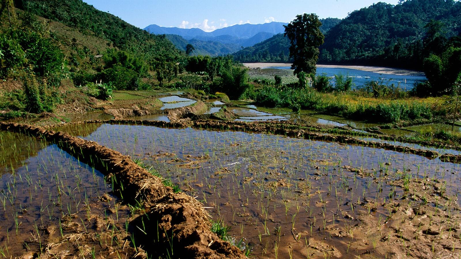 Subansiri River - Tribal Tour of Arunachal Pradesh