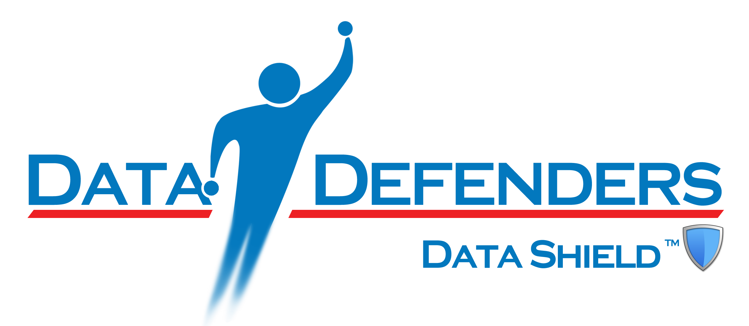 Data Defenders Logo