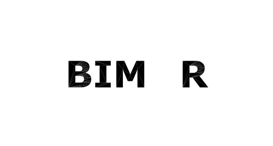 BIM R