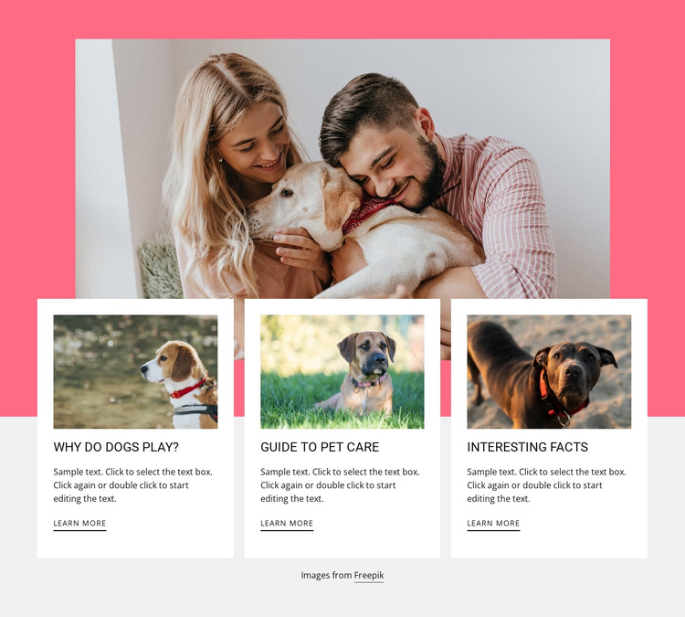 Interesting facts about dogs Joomla Template