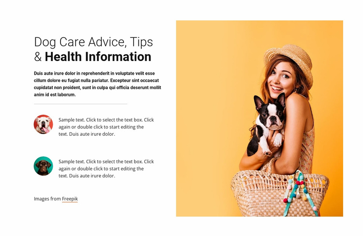 Dog care advice Website Design
