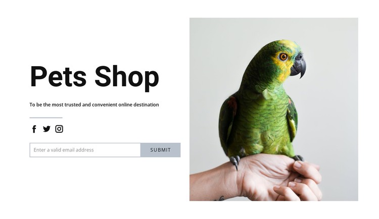 Bird food CSS Template