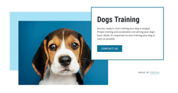 Dog Training Classes Web Design Tool