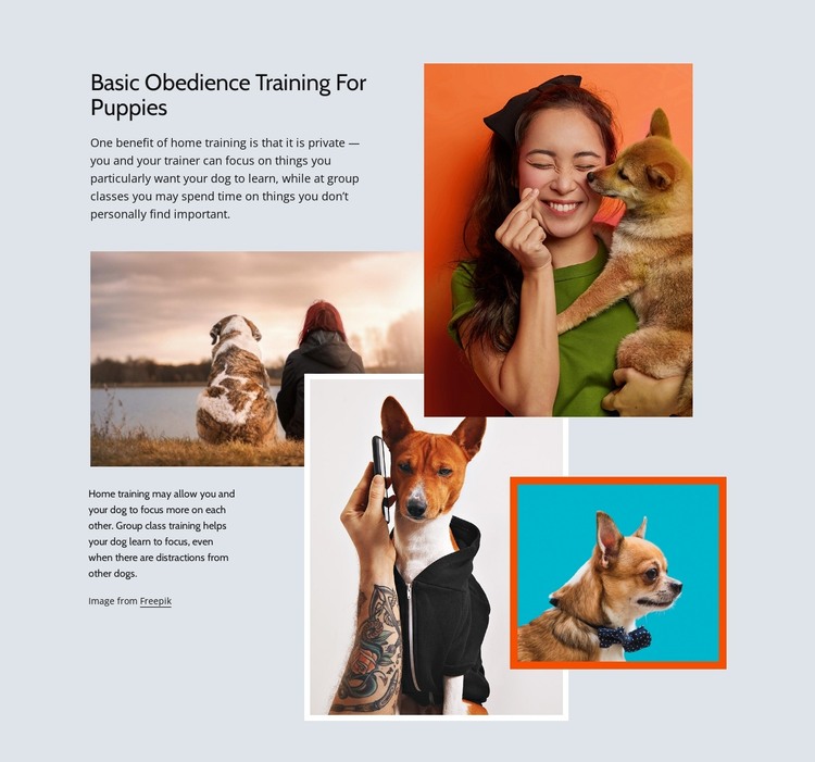 Basic obedience HTML Template