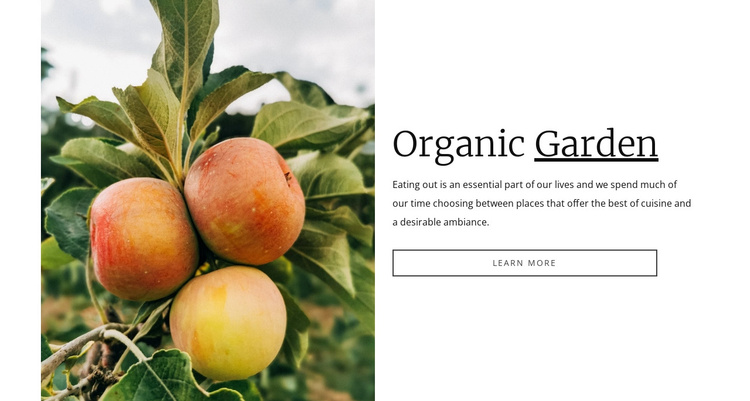 Organic garden food Joomla Template