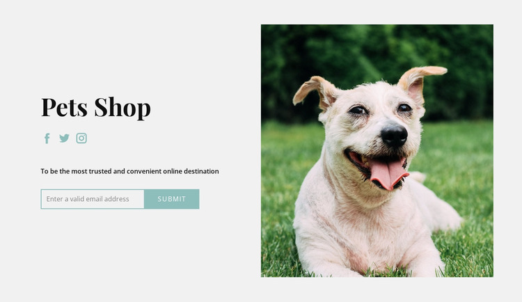 Buy everything for your dog WordPress Website Builder