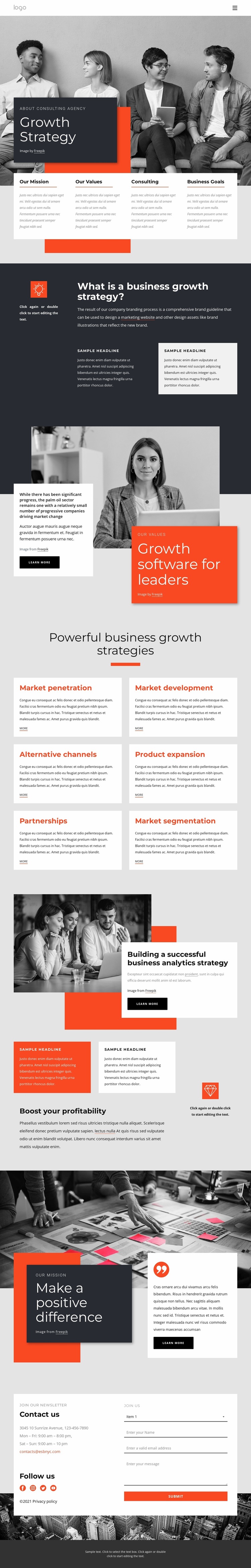 Growth strategy consultants Website Design