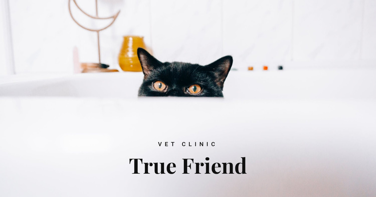 True friends Website Design