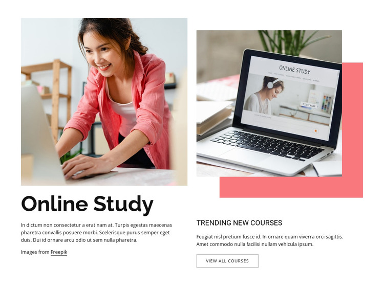Online study HTML Template