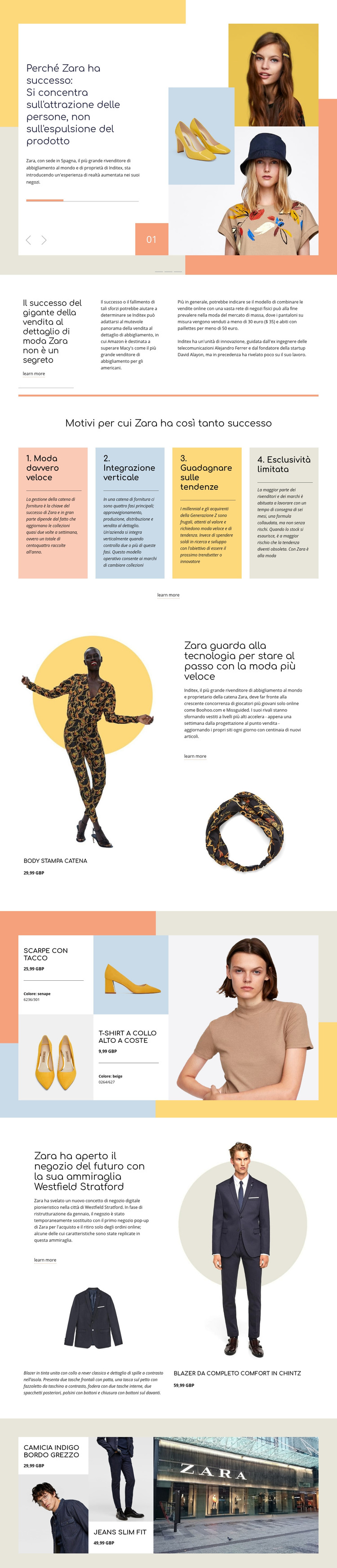 Zara Success Modello di sito Web