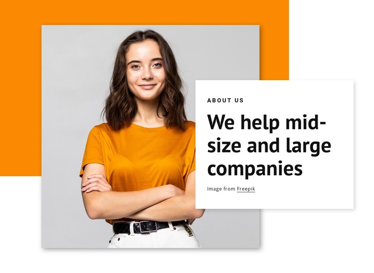 We help large companies CSS Template
