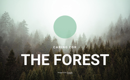 Caring For The Forest Feel Amazing Days