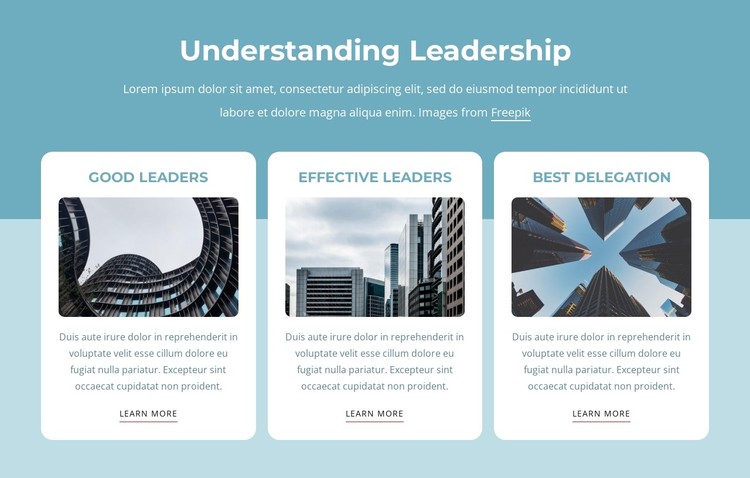 Understanding leadership CSS Template