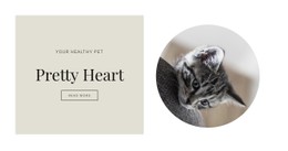 Pets & Animals CSS Templates
