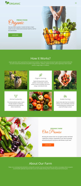 Eat Best Organic Food Mobile Builder