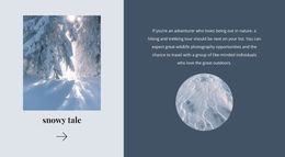 Winter Tale Build Your Website