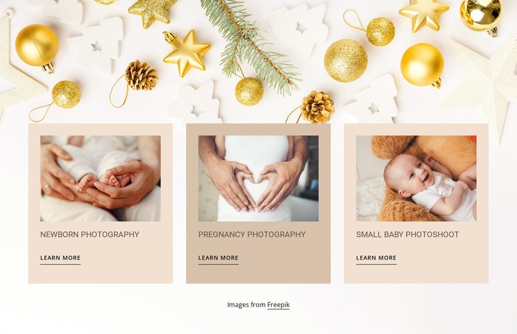 Newborn and baby photography CSS Template