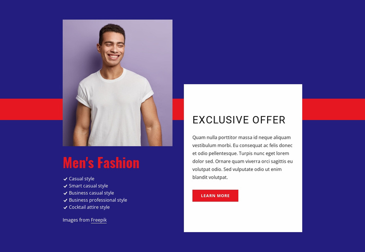 Exclusive offer Website Template