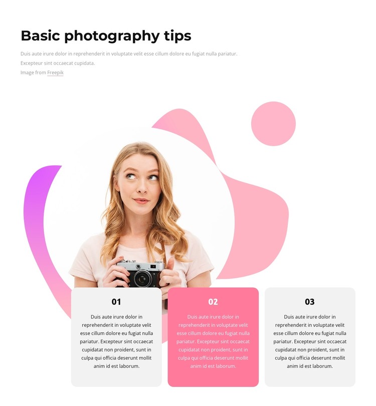 Basic photography tips CSS Template