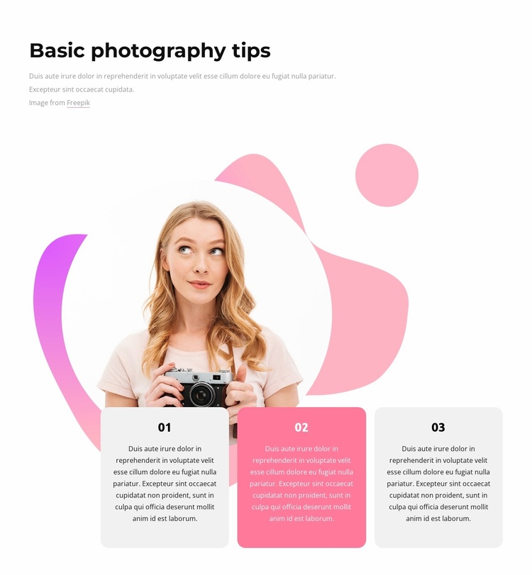 Basic photography tips Website Template
