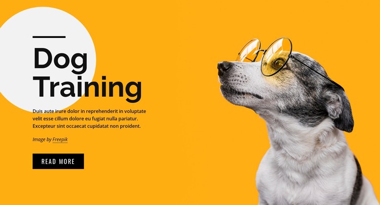 Training classes for pets of all ages CSS Template