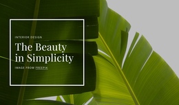 The Beauty In Simpliciy Change Perfect Html In Minutes