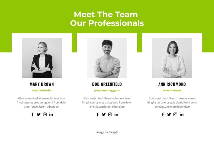 Professional team HTML Template