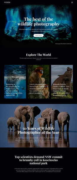 Wildlife And Nature Website Template