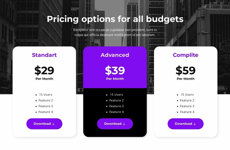 Pricing options for all budgets WordPress Website Builder