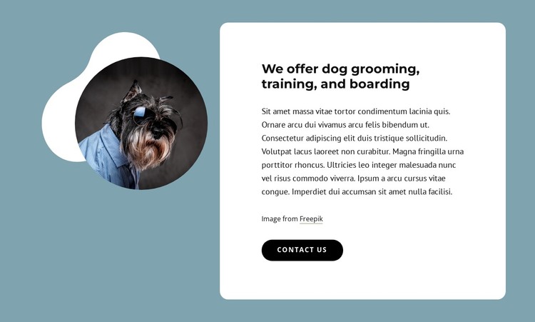 We offer dog grooming HTML Template