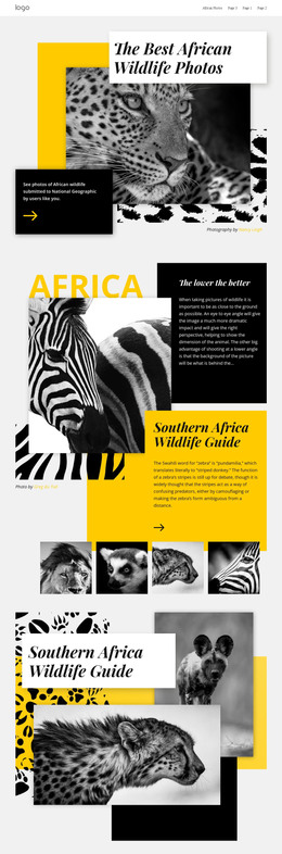 Best African Photos Web Design Software