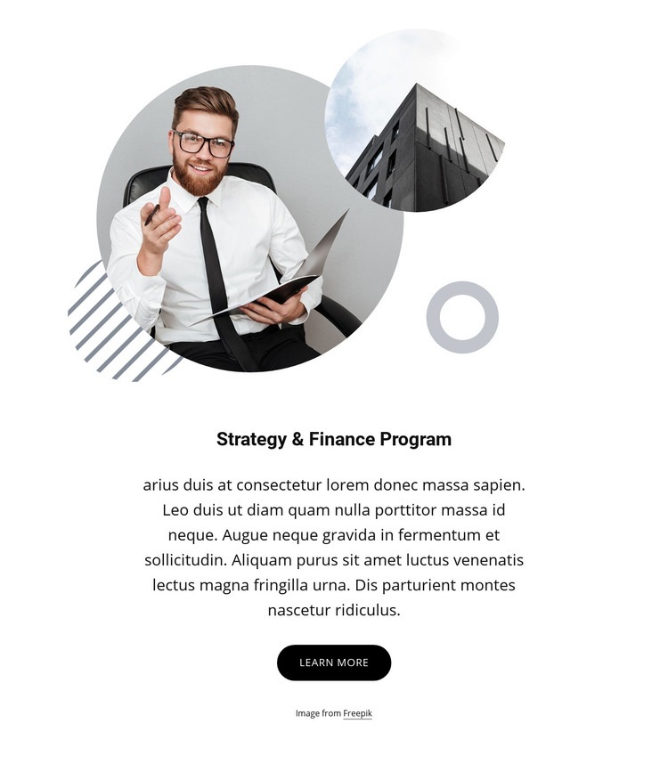 Strategy and finance program Web Page Design