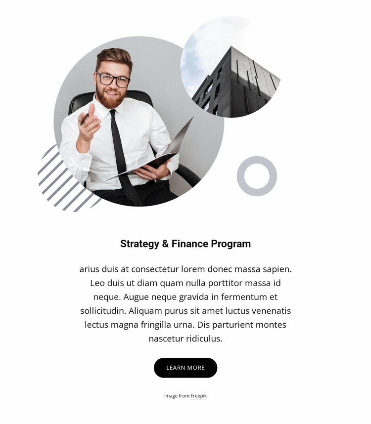 Strategy and finance program Website Mockup