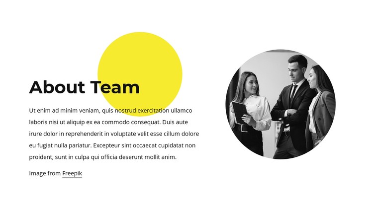 About our team CSS Template
