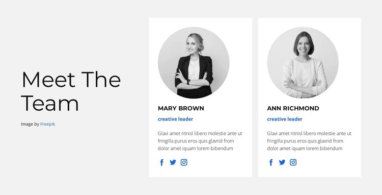 New team CSS Template