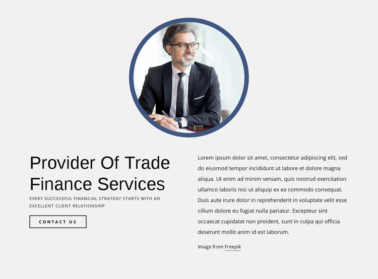 Provider of trade finance services Website Mockup