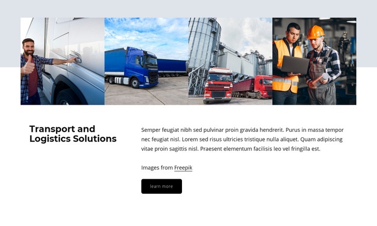Logistic solutions Wysiwyg Editor Html 