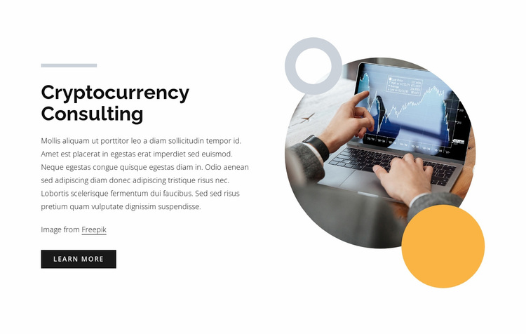 Cryptocurrency consulting Website Design