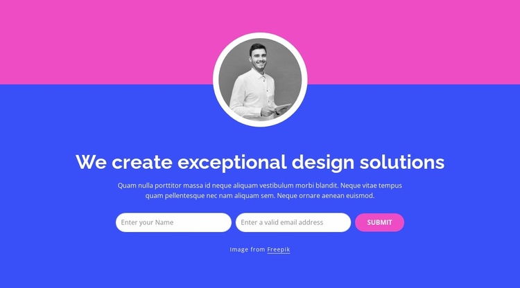 We create exceptional design solutions Website Template