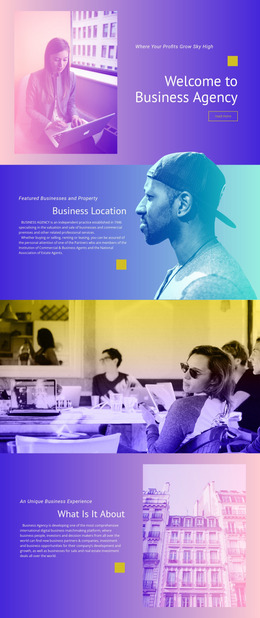 Features Business And Property