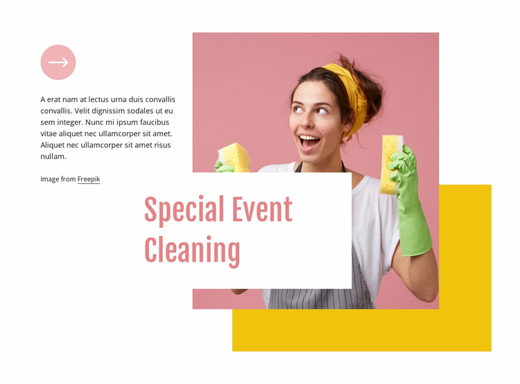 Special event cleaning Website Design