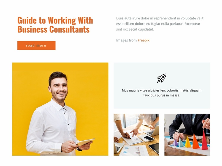 Guide to working business consultations Website Template