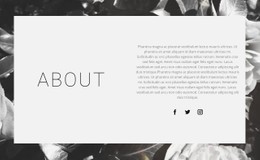 290 About Us CSS Templates