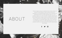 200 About Us Html Code Examples