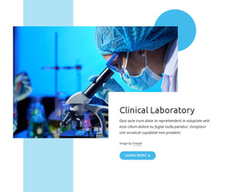 Top Clinical Laboratory Wix Review Users