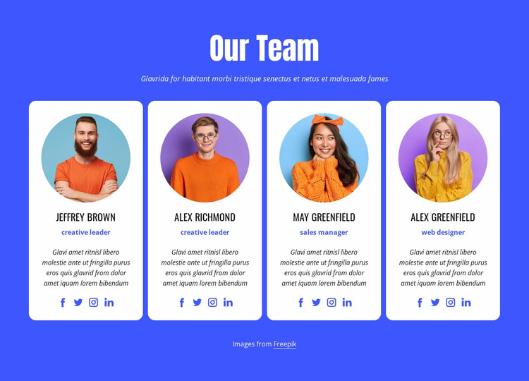 Our professional team Website Design
