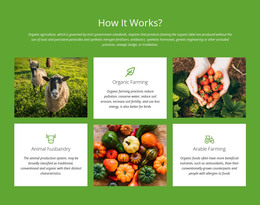 How Does A Farm Work? Free WordPress Themes