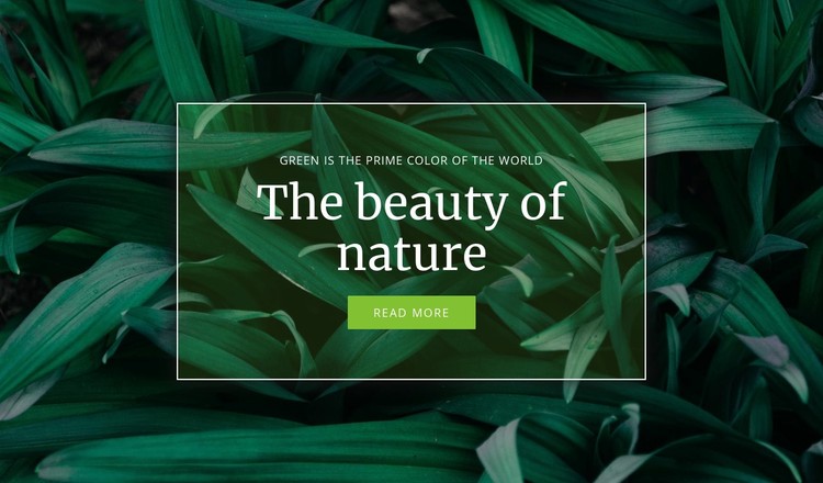 Secret of nature CSS Template