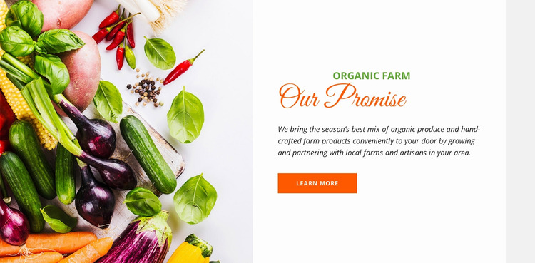 Organic food Website Mockup